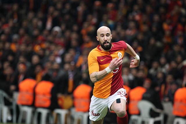 专业的教练 专业的教练